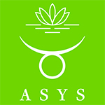 ASYS Automatic Systems